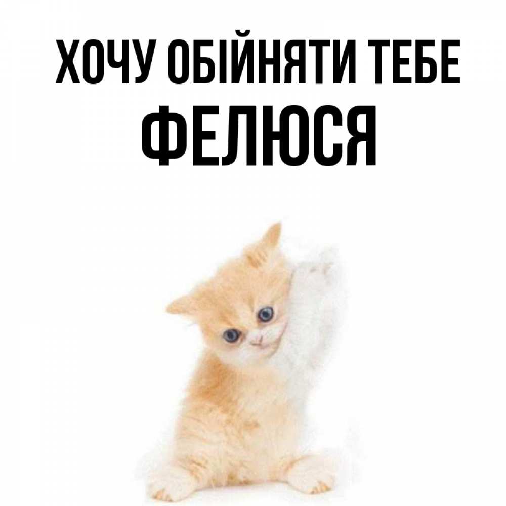 Открытка на каждый день з підписом, Фелюся Хочу обійняти тебе я хочу очень скорее обнимаешек Прикольна листівка з побажанням онлайн скачати безкоштовно 