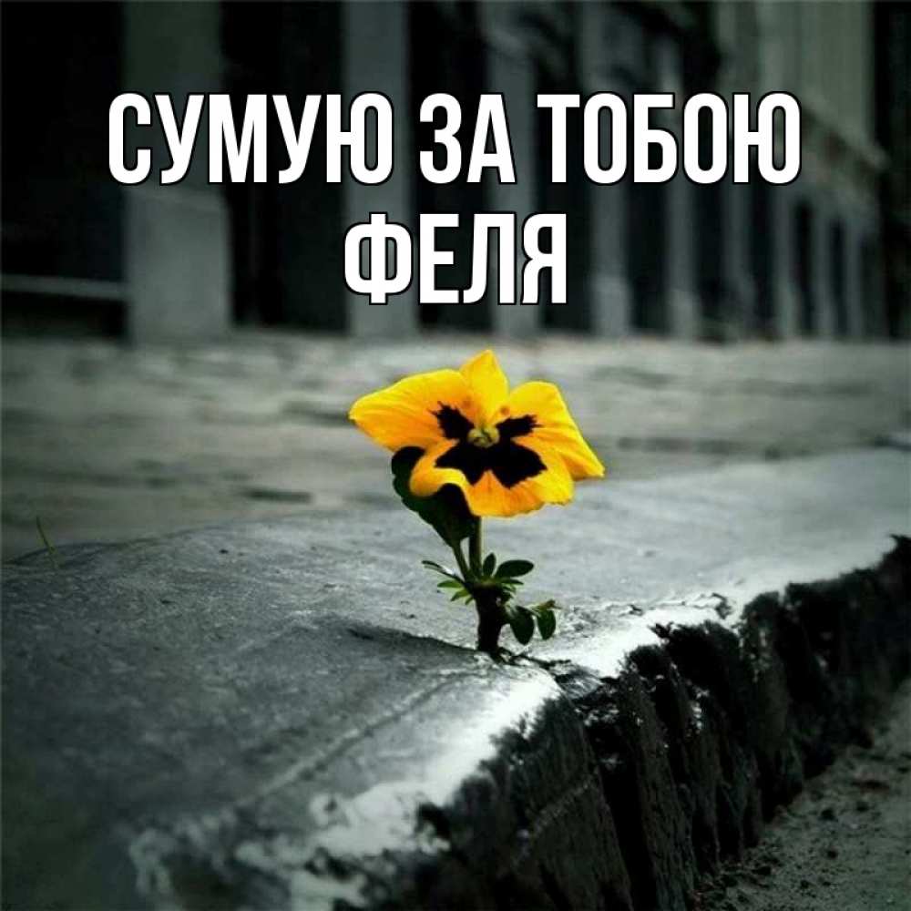 Открытка на каждый день з підписом, Феля Сумую за тобою надеюсь будет лучше Прикольна листівка з побажанням онлайн скачати безкоштовно 