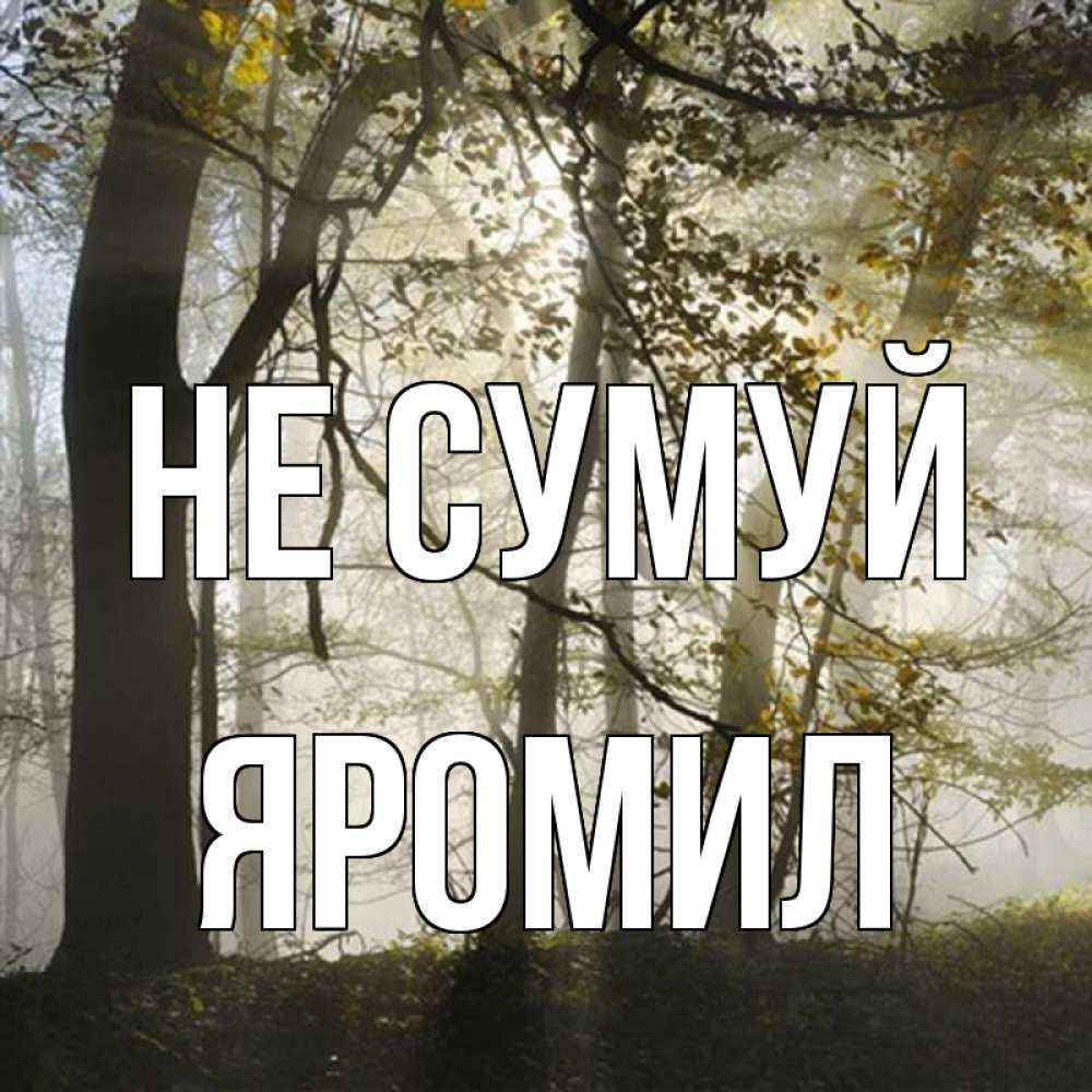 Открытка на каждый день з підписом, Яромил Не сумуй лес и свет Прикольна листівка з побажанням онлайн скачати безкоштовно 