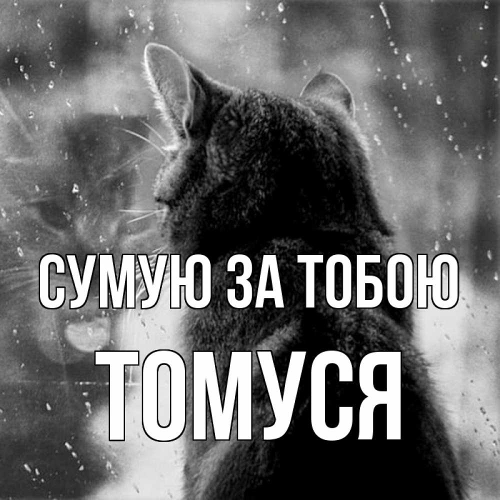 Открытка на каждый день з підписом, Томуся Сумую за тобою скорее ко мне приходи 1 Прикольна листівка з побажанням онлайн скачати безкоштовно 