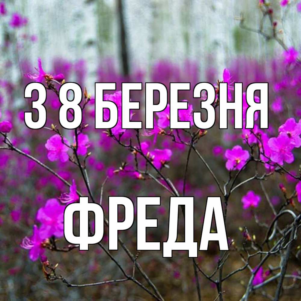 Открытка на каждый день з підписом, Фреда З 8 БЕРЕЗНЯ дикие цветы Прикольна листівка з побажанням онлайн скачати безкоштовно 