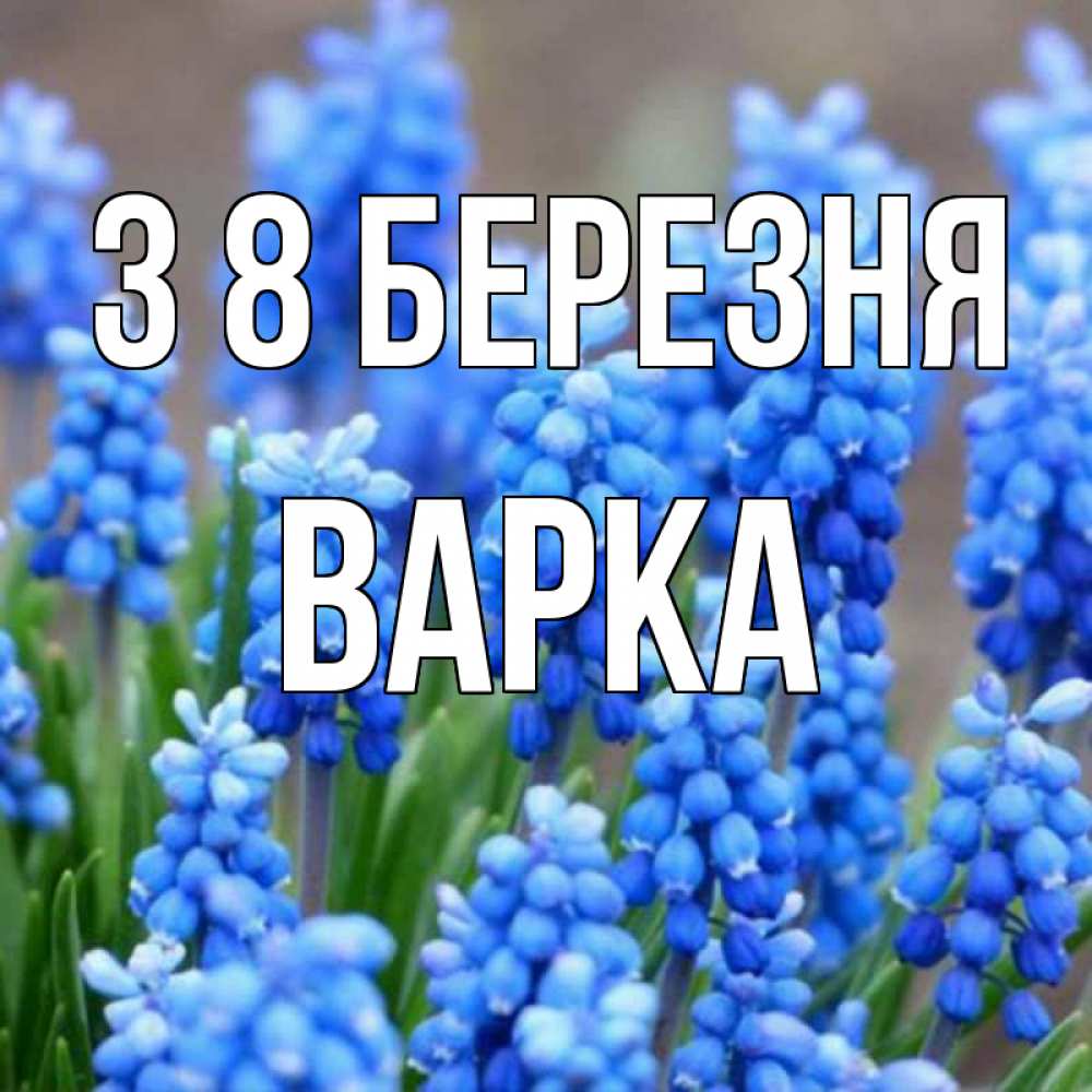 Открытка на каждый день з підписом, Варка З 8 БЕРЕЗНЯ Поздравительная открытка для женщин с цветами на праздничную дату Прикольна листівка з побажанням онлайн скачати безкоштовно 