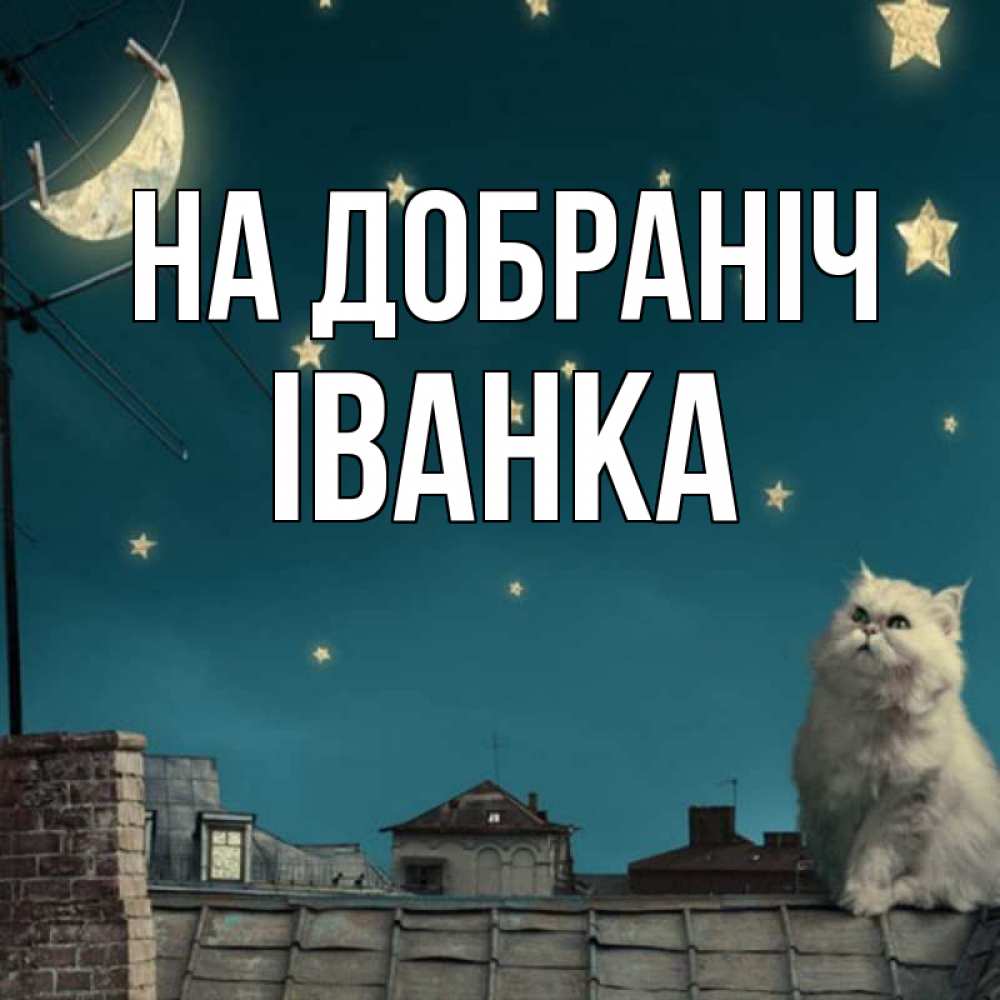 Открытка на каждый день з підписом, Іванка На добраніч белый кот сидит на крыше Прикольна листівка з побажанням онлайн скачати безкоштовно 
