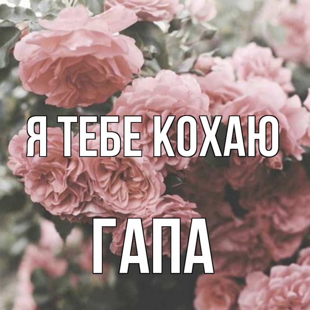 Открытка на каждый день з підписом, Гапа Я тебе кохаю розы 3 Прикольна листівка з побажанням онлайн скачати безкоштовно 