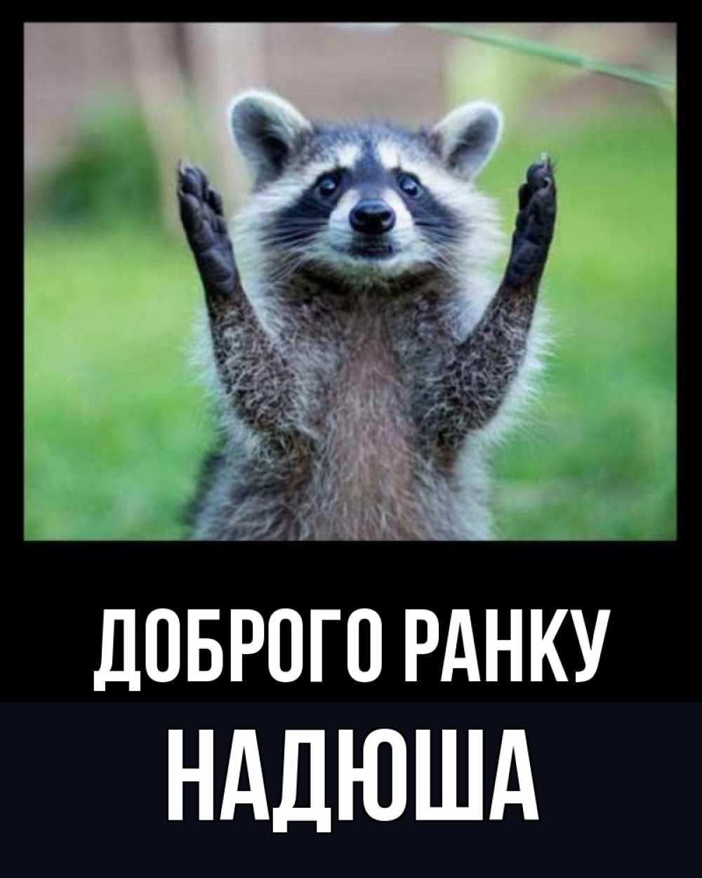Открытка на каждый день з підписом, Надюша Доброго ранку хорошее настроение утречком Прикольна листівка з побажанням онлайн скачати безкоштовно 