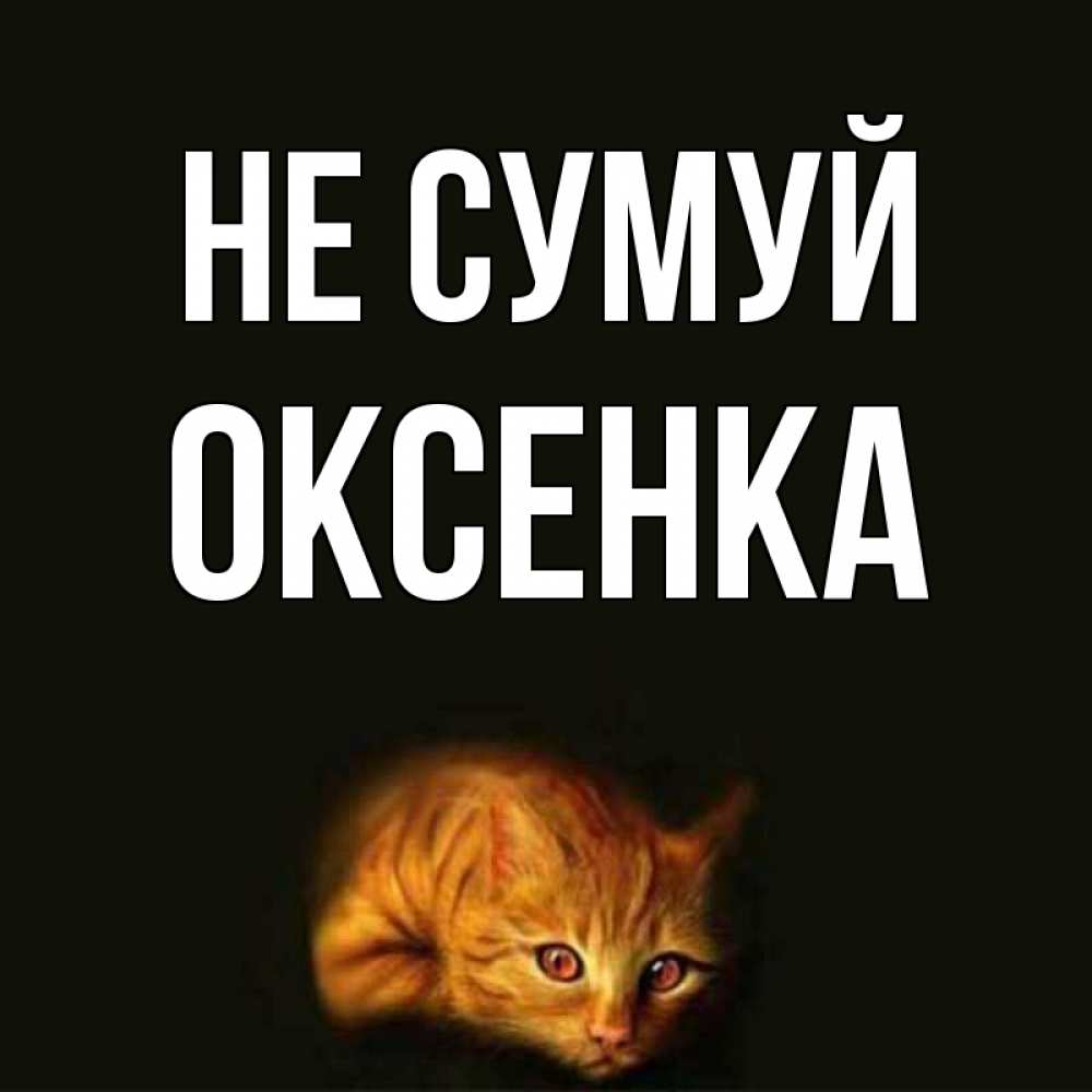 Открытка на каждый день з підписом, Оксенка Не сумуй лежащий кот в темноте Прикольна листівка з побажанням онлайн скачати безкоштовно 