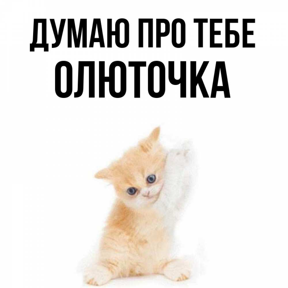 Открытка на каждый день з підписом, Олюточка Думаю про тебе зверушки и милота Прикольна листівка з побажанням онлайн скачати безкоштовно 