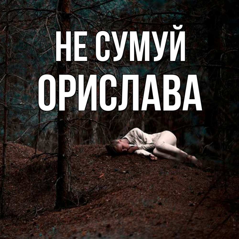 Открытка на каждый день з підписом, Орислава Не сумуй лес Прикольна листівка з побажанням онлайн скачати безкоштовно 