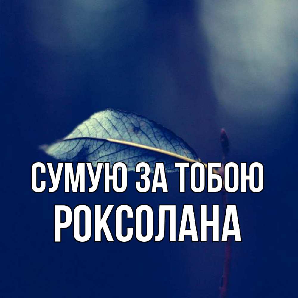 Открытка на каждый день з підписом, Роксолана Сумую за тобою одна ветка 1 Прикольна листівка з побажанням онлайн скачати безкоштовно 