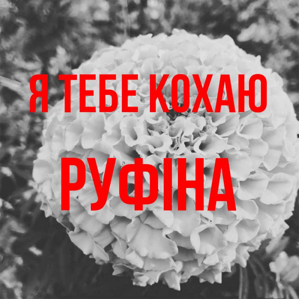 Открытка на каждый день з підписом, Руфіна Я тебе кохаю подпись Прикольна листівка з побажанням онлайн скачати безкоштовно 