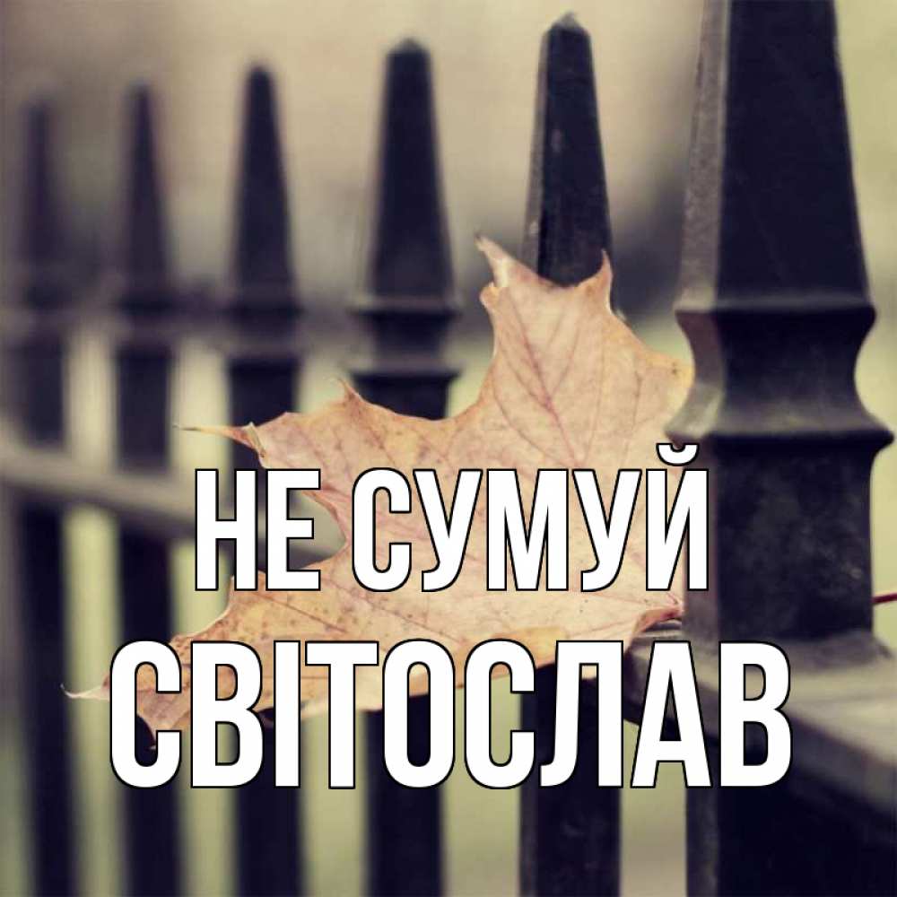Открытка на каждый день з підписом, Світослав Не сумуй лист клена Прикольна листівка з побажанням онлайн скачати безкоштовно 