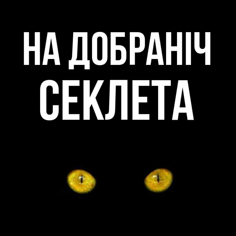 Открытка на каждый день з підписом, Секлета На добраніч сладких снов бесстрашный мой дружочек Прикольна листівка з побажанням онлайн скачати безкоштовно 