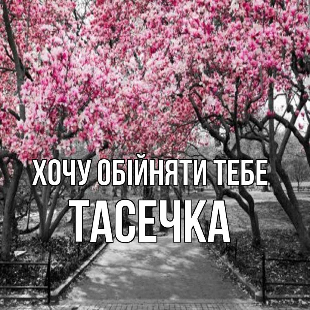 Открытка на каждый день з підписом, Тасечка Хочу обійняти тебе обработанное фото Прикольна листівка з побажанням онлайн скачати безкоштовно 
