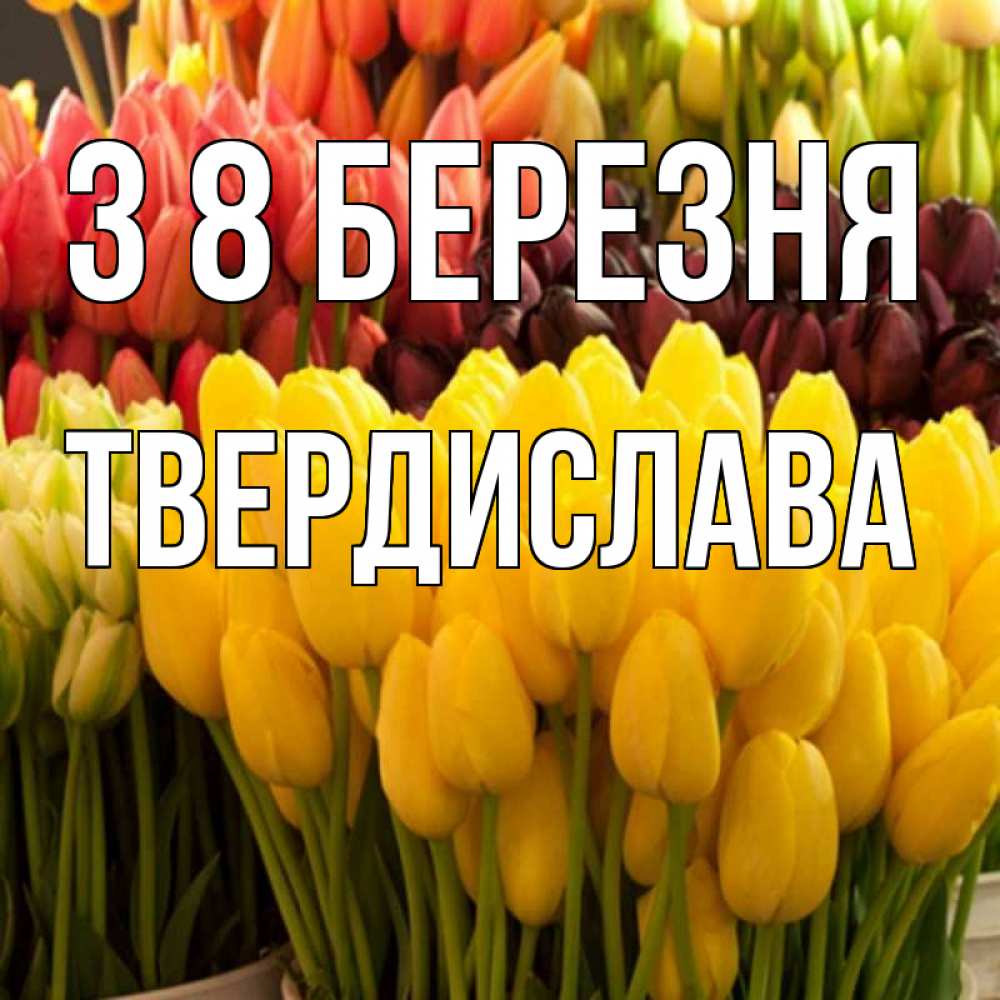 Открытка на каждый день з підписом, Твердислава З 8 БЕРЕЗНЯ цветы Прикольна листівка з побажанням онлайн скачати безкоштовно 
