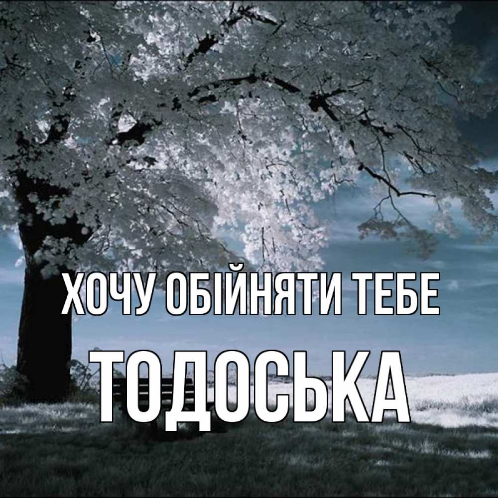 Открытка на каждый день з підписом, Тодоська Хочу обійняти тебе дерево Прикольна листівка з побажанням онлайн скачати безкоштовно 