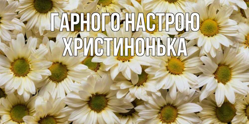 Открытка на каждый день з підписом, Христинонька Гарного настрою крупные ромашки Прикольна листівка з побажанням онлайн скачати безкоштовно 