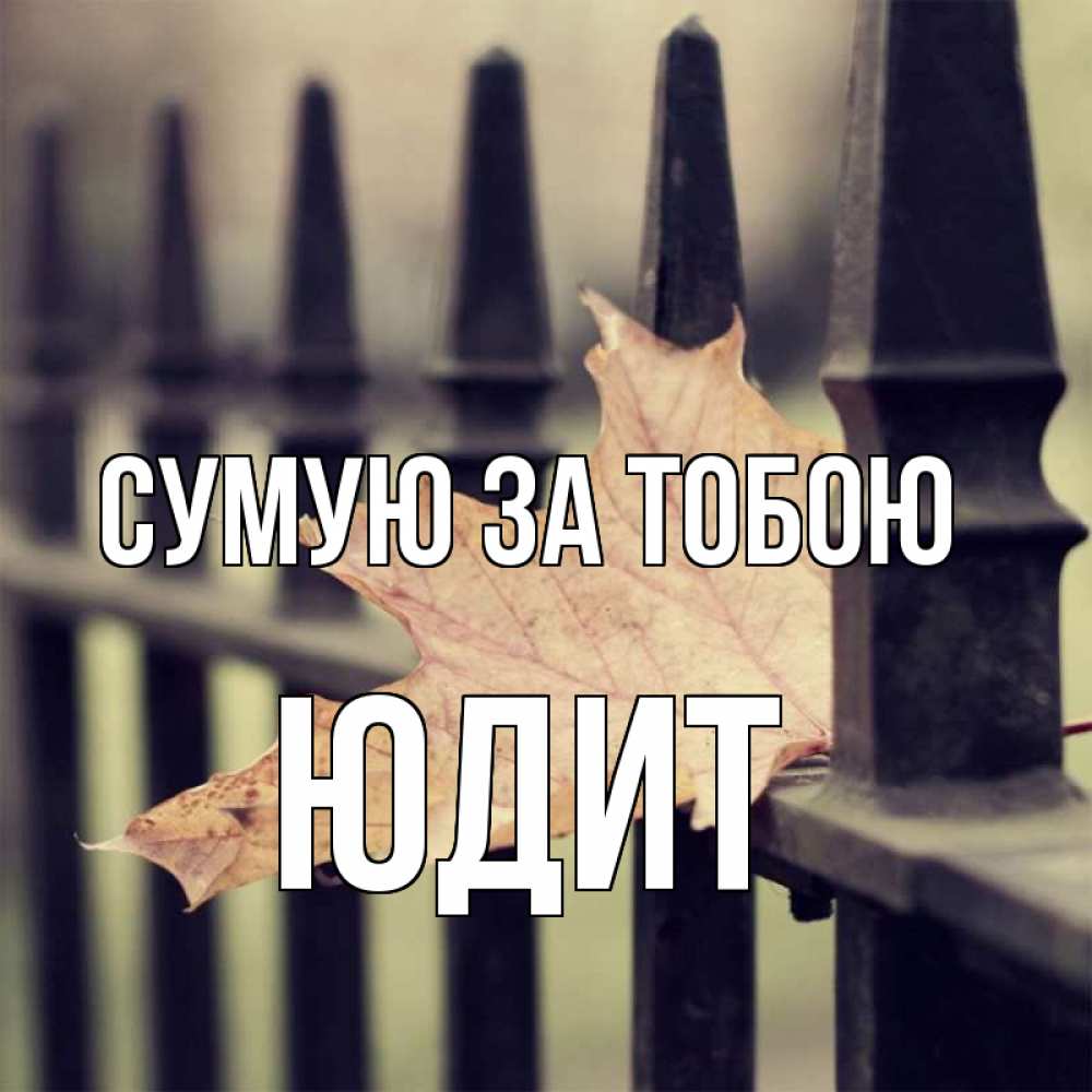 Открытка на каждый день з підписом, Юдит Сумую за тобою очень скучно Прикольна листівка з побажанням онлайн скачати безкоштовно 
