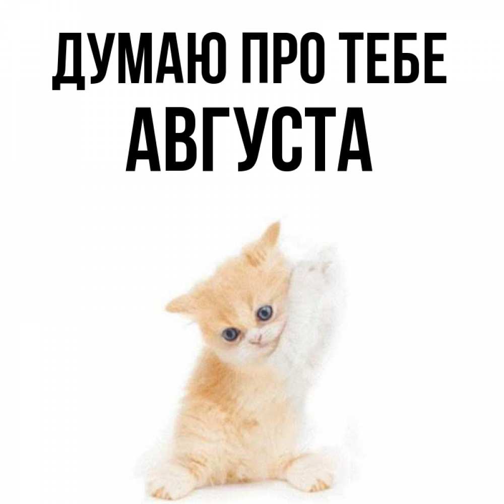 Открытка на каждый день з підписом, Августа Думаю про тебе зверушки и милота Прикольна листівка з побажанням онлайн скачати безкоштовно 