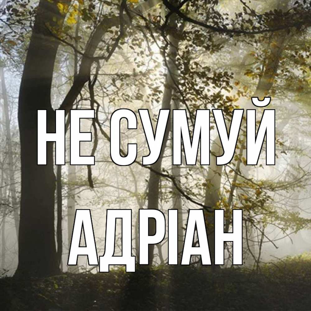 Открытка на каждый день з підписом, Адріан Не сумуй лес и свет Прикольна листівка з побажанням онлайн скачати безкоштовно 