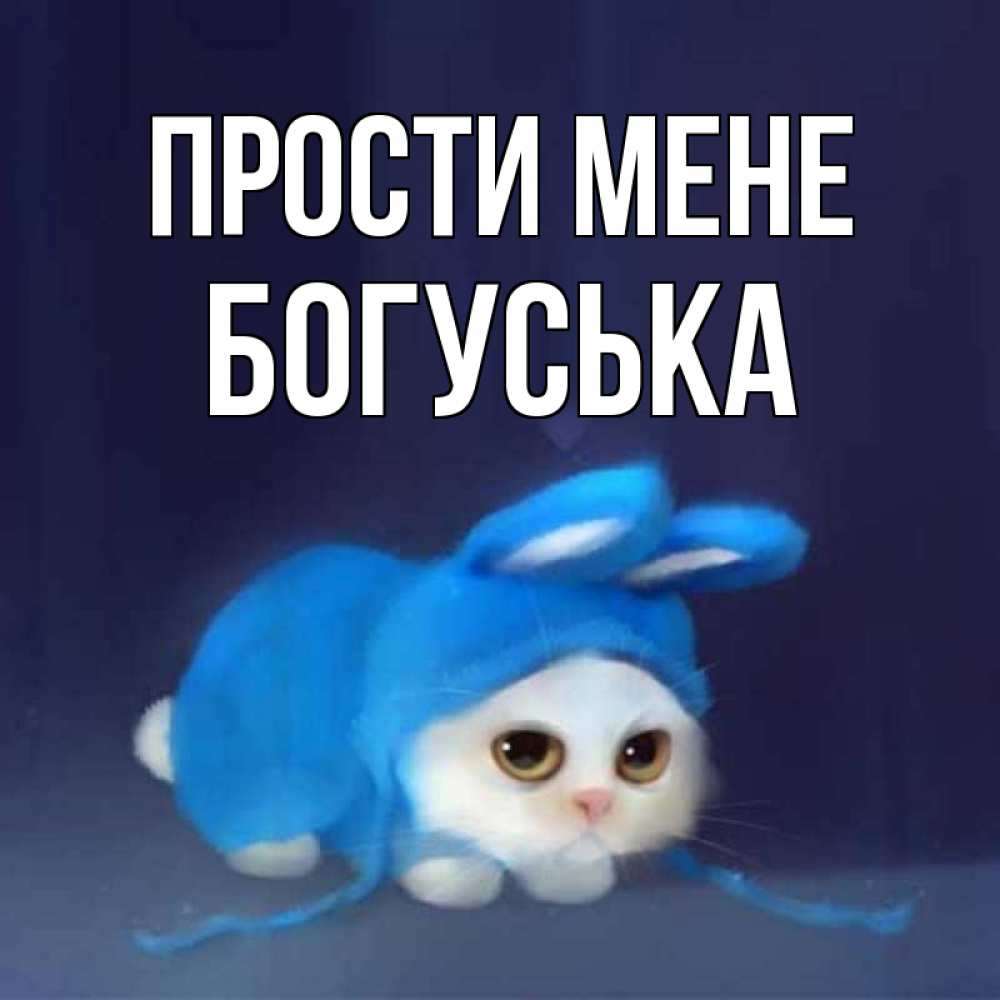 Открытка на каждый день з підписом, Богуська Прости мене невинный котозай просит прощения Прикольна листівка з побажанням онлайн скачати безкоштовно 