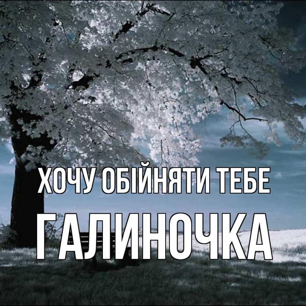 Открытка на каждый день з підписом, Галиночка Хочу обійняти тебе дерево Прикольна листівка з побажанням онлайн скачати безкоштовно 