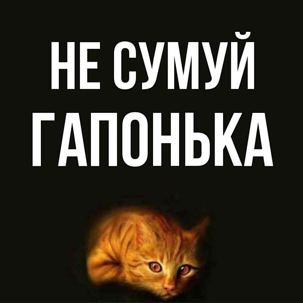 Открытка на каждый день з підписом, Гапонька Не сумуй лежащий кот в темноте Прикольна листівка з побажанням онлайн скачати безкоштовно 