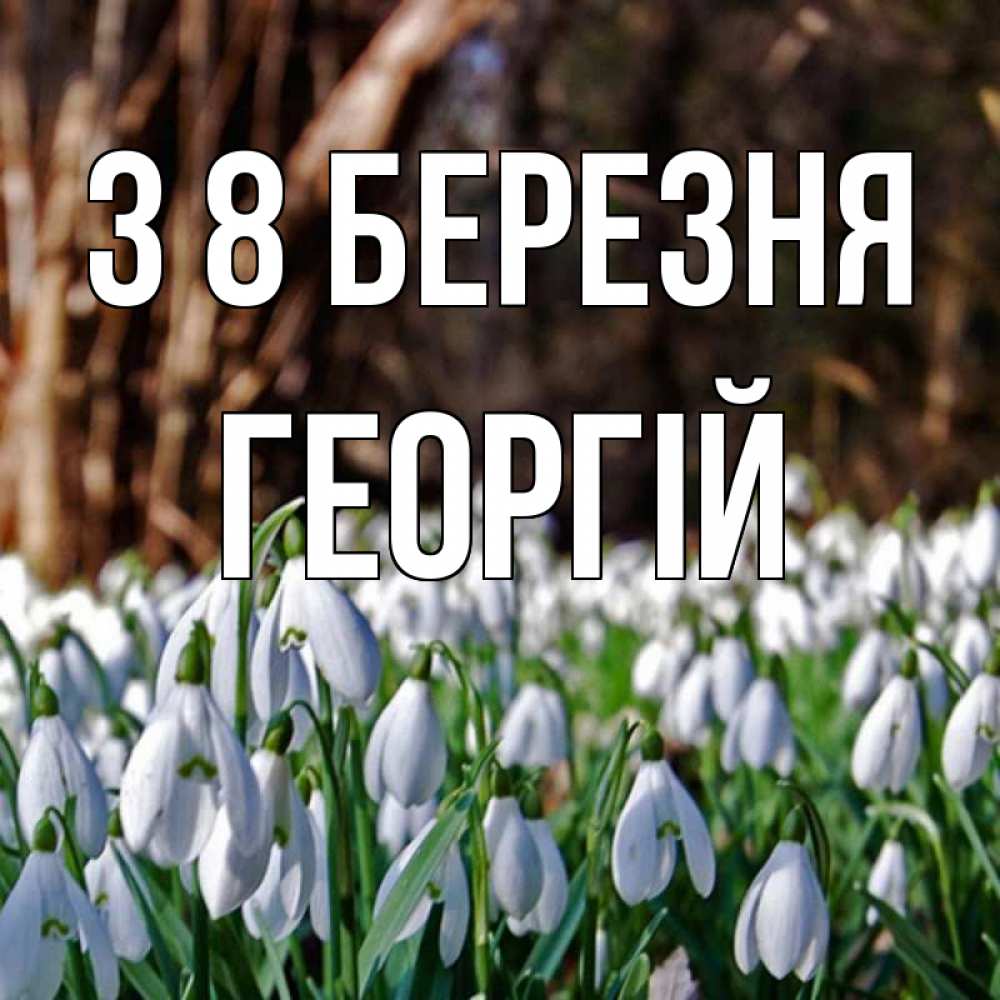 Открытка на каждый день з підписом, Георгій З 8 БЕРЕЗНЯ с подснежниками 1 Прикольна листівка з побажанням онлайн скачати безкоштовно 
