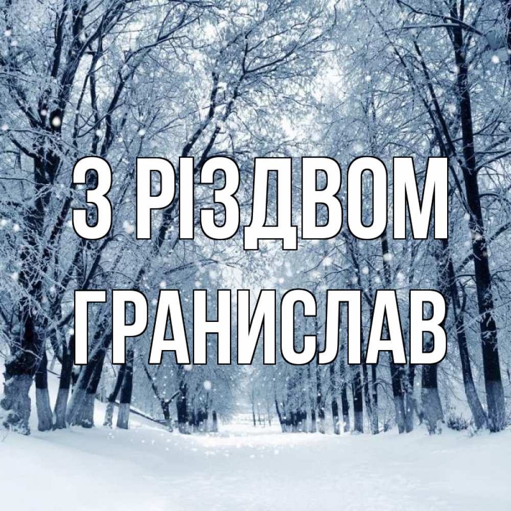 Открытка на каждый день з підписом, Гранислав З Різдвом снег, лес, парк Прикольна листівка з побажанням онлайн скачати безкоштовно 