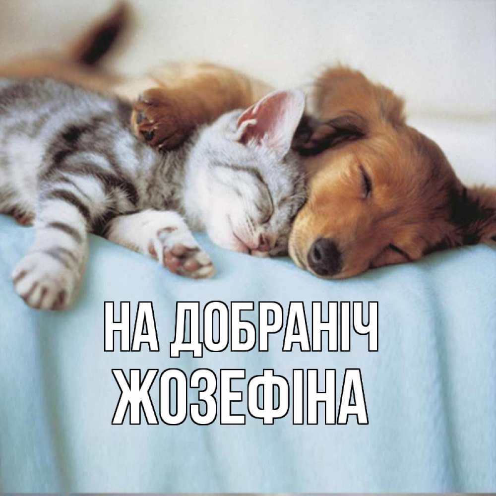Открытка на каждый день з підписом, Жозефіна На добраніч с животными Прикольна листівка з побажанням онлайн скачати безкоштовно 