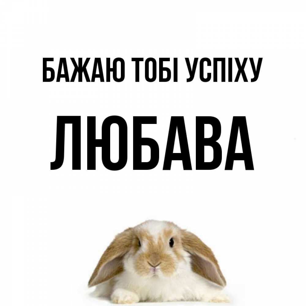 Открытка на каждый день з підписом, Любава Бажаю тобі успіху открытки с произвольным текстом который можно вставить в открытку и создать ее самостоятельно бесплатно онлайн Прикольна листівка з побажанням онлайн скачати безкоштовно 