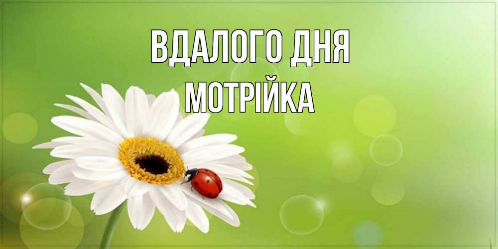 Открытка на каждый день з підписом, Мотрійка Вдалого дня зеленый фон и ромашка Прикольна листівка з побажанням онлайн скачати безкоштовно 