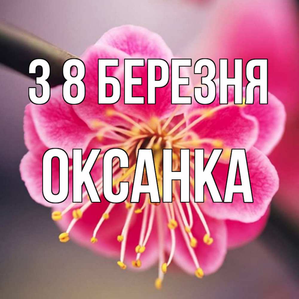 Открытка на каждый день з підписом, Оксанка З 8 БЕРЕЗНЯ цветы Прикольна листівка з побажанням онлайн скачати безкоштовно 