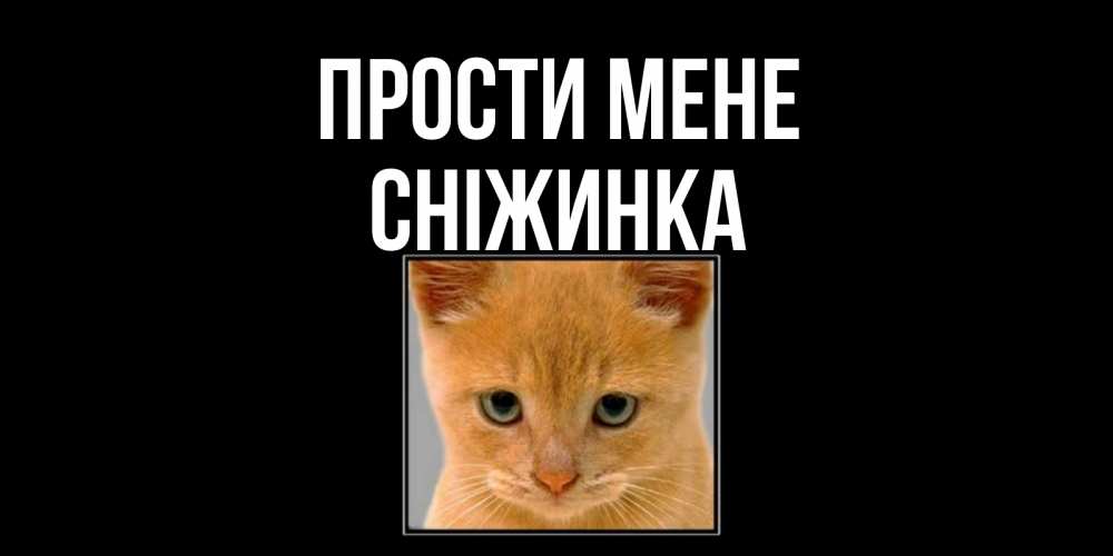 Открытка на каждый день з підписом, Сніжинка Прости мене рыжий грустный кот просит прощения Прикольна листівка з побажанням онлайн скачати безкоштовно 