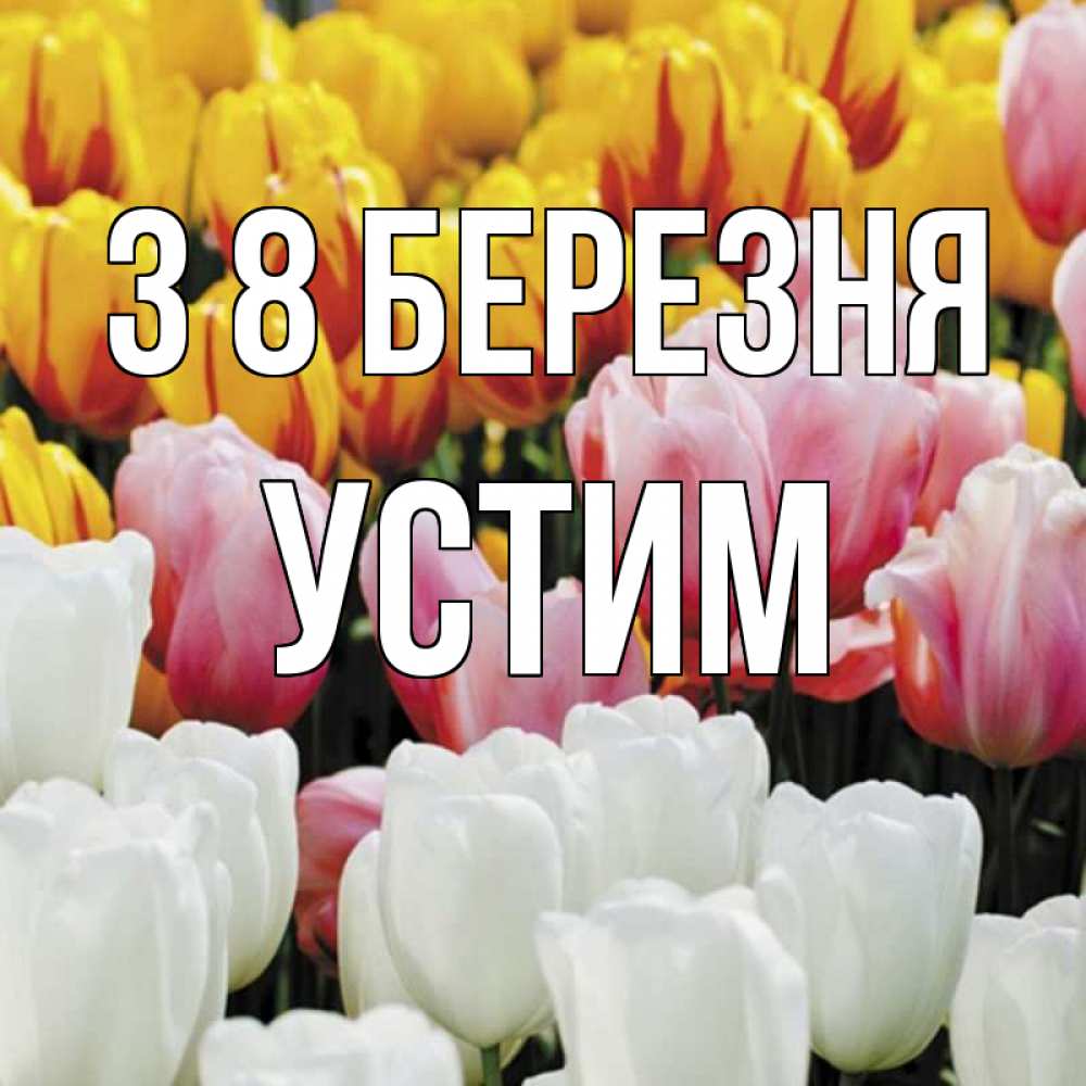 Открытка на каждый день з підписом, Устим З 8 БЕРЕЗНЯ разноцветные цветы Прикольна листівка з побажанням онлайн скачати безкоштовно 