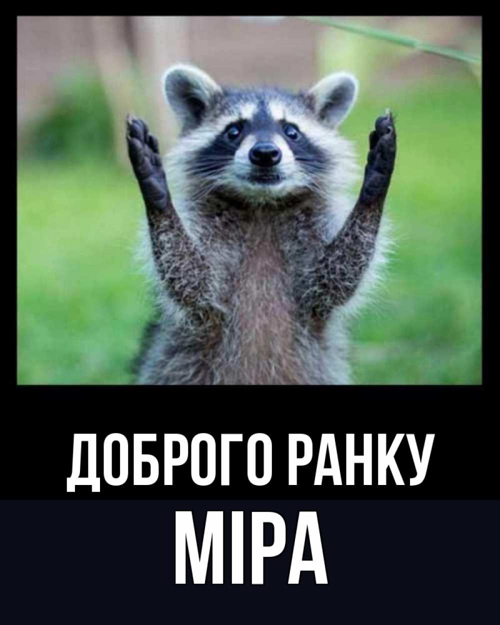 Открытка на каждый день з підписом, Міра Доброго ранку хорошее настроение утречком Прикольна листівка з побажанням онлайн скачати безкоштовно 