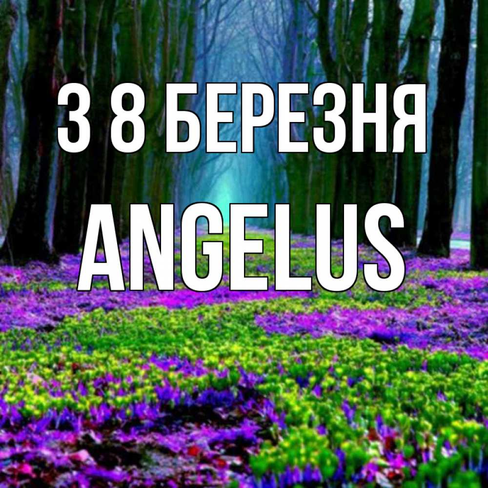 Открытка на каждый день з підписом, Angelus З 8 БЕРЕЗНЯ фиолетовые цветы в лесу 1 Прикольна листівка з побажанням онлайн скачати безкоштовно 