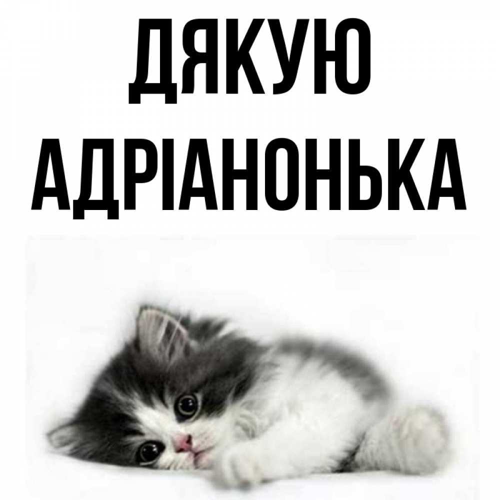 Открытка на каждый день з підписом, Адріанонька Дякую черный и белый кот Прикольна листівка з побажанням онлайн скачати безкоштовно 