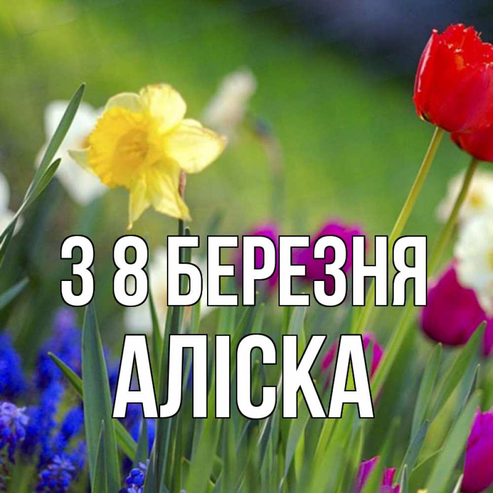 Открытка на каждый день з підписом, Аліска З 8 БЕРЕЗНЯ международный женский день 3 Прикольна листівка з побажанням онлайн скачати безкоштовно 