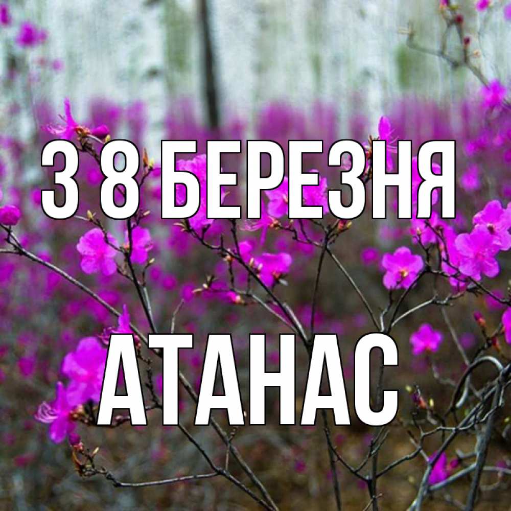 Открытка на каждый день з підписом, Атанас З 8 БЕРЕЗНЯ дикие цветы Прикольна листівка з побажанням онлайн скачати безкоштовно 