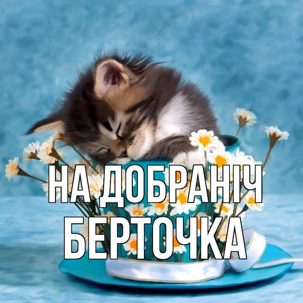 Открытка на каждый день з підписом, Берточка На добраніч котенок спит в кружке с блюдцем Прикольна листівка з побажанням онлайн скачати безкоштовно 