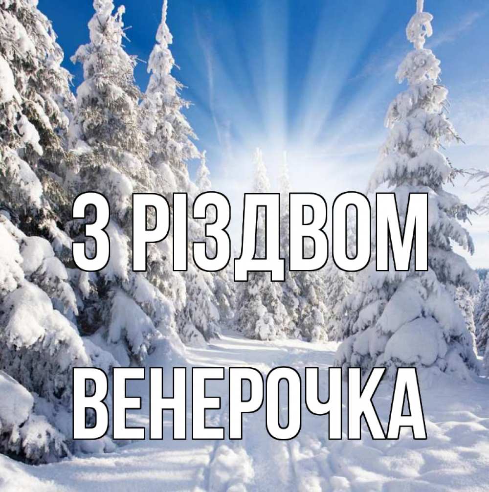 Открытка на каждый день з підписом, Венерочка З Різдвом зима, лес Прикольна листівка з побажанням онлайн скачати безкоштовно 