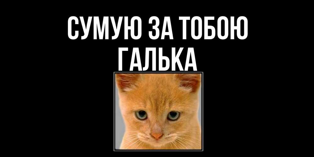 Открытка на каждый день з підписом, Галька Сумую за тобою открытки рыжий котенок скучает по тебе Прикольна листівка з побажанням онлайн скачати безкоштовно 