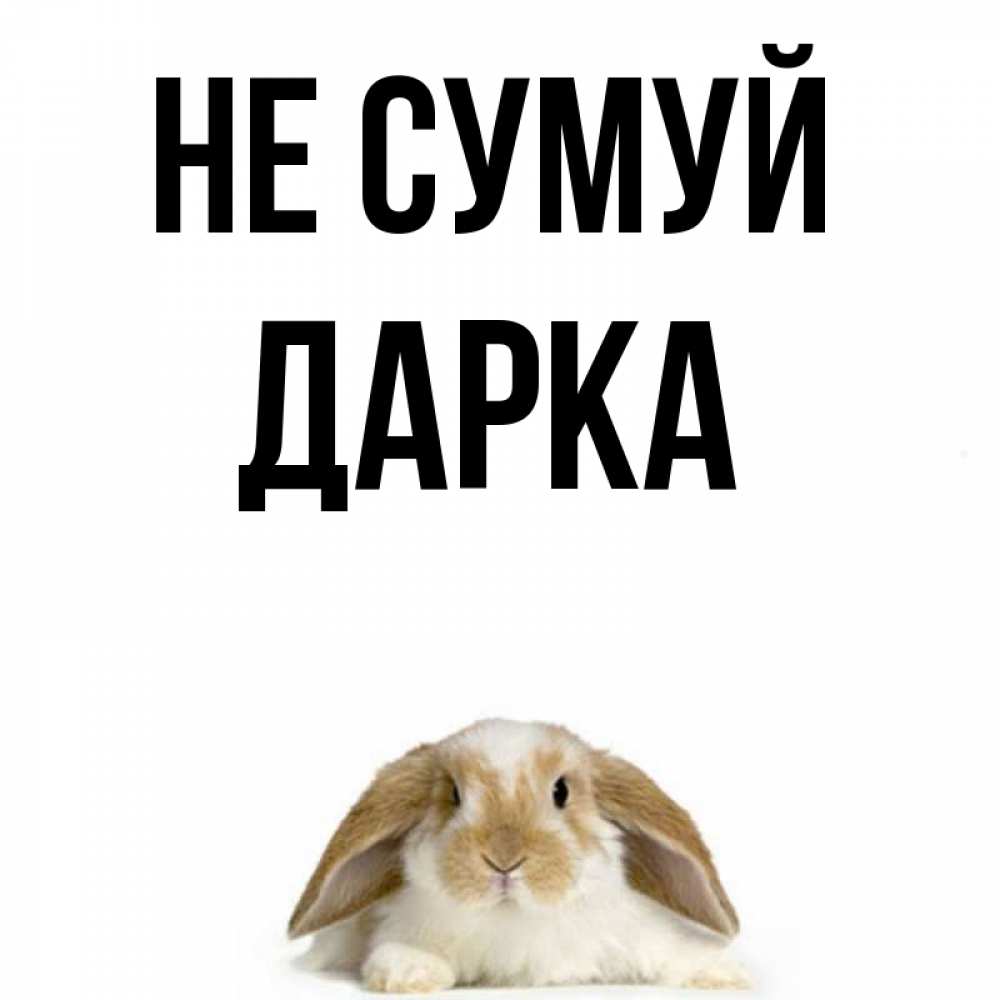 Открытка на каждый день з підписом, Дарка Не сумуй коричнево белый заяц с большими ушками Прикольна листівка з побажанням онлайн скачати безкоштовно 
