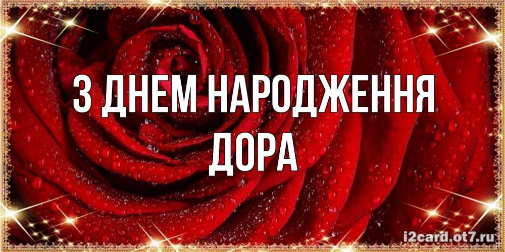 Открытка на каждый день з підписом, Дора З Днем народження роса на розе блестящая в лучах солнца Прикольна листівка з побажанням онлайн скачати безкоштовно 