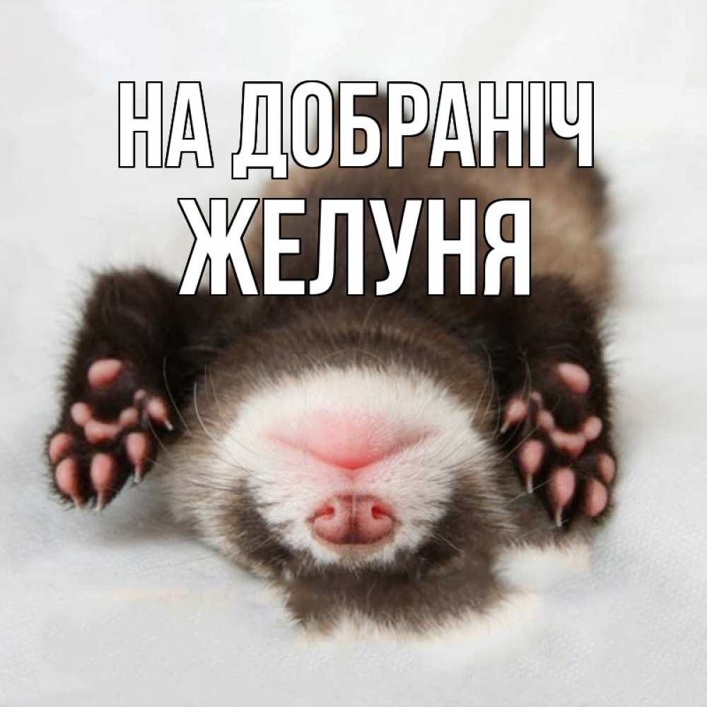 Открытка на каждый день з підписом, Желуня На добраніч зверек Прикольна листівка з побажанням онлайн скачати безкоштовно 