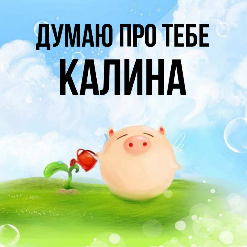 Открытка на каждый день з підписом, Калина Думаю про тебе позитивная свинюшка Прикольна листівка з побажанням онлайн скачати безкоштовно 