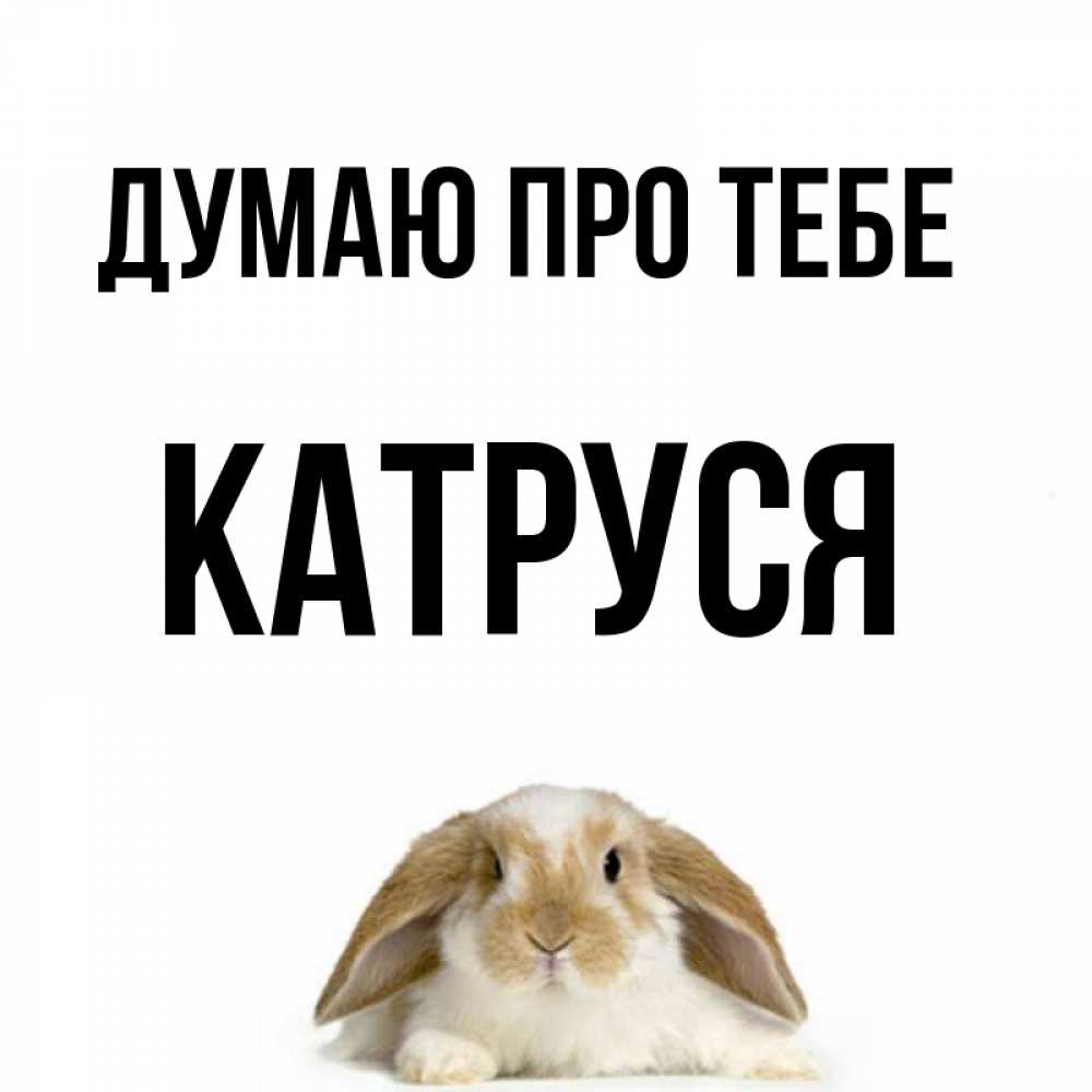 Открытка на каждый день з підписом, Катруся Думаю про тебе подписать своими руками онлайн Прикольна листівка з побажанням онлайн скачати безкоштовно 