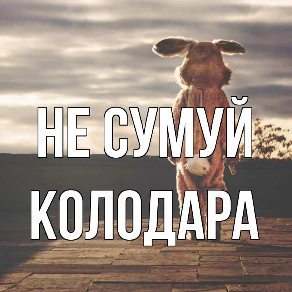 Открытка на каждый день з підписом, Колодара Не сумуй со спины Прикольна листівка з побажанням онлайн скачати безкоштовно 