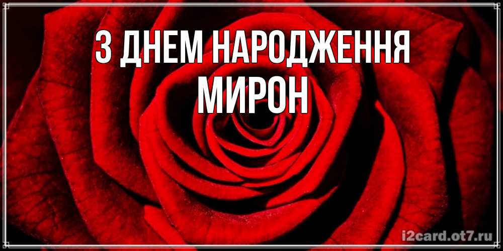 Открытка на каждый день з підписом, Мирон З Днем народження алая роза Прикольна листівка з побажанням онлайн скачати безкоштовно 