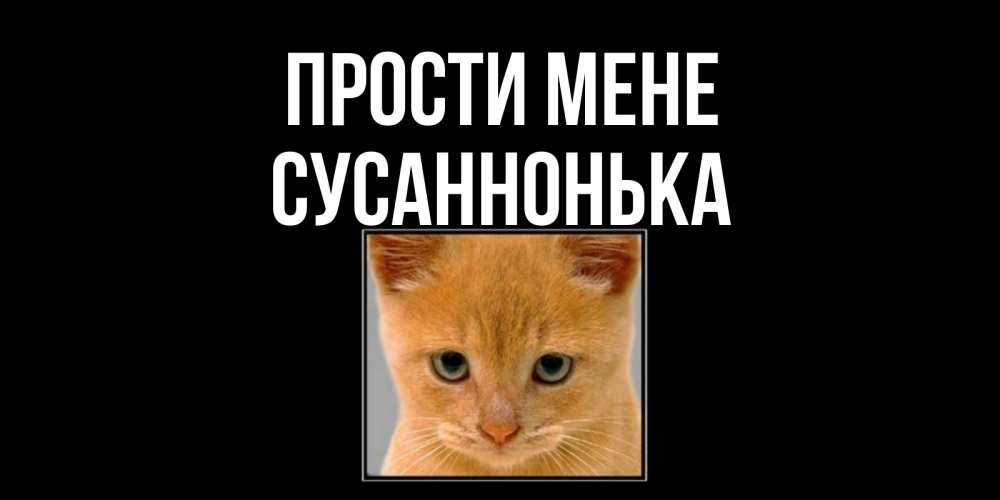 Открытка на каждый день з підписом, Сусаннонька Прости мене рыжий грустный кот просит прощения Прикольна листівка з побажанням онлайн скачати безкоштовно 